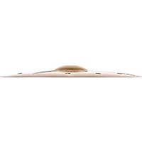 Zildjian A Custom EFX Crash Cymbal