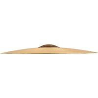 SABIAN AA Raw Bell Dry Ride Cymbal 21 in.