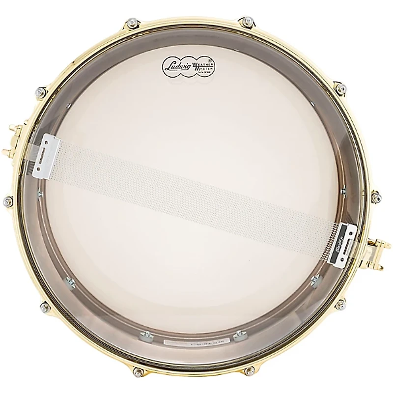 Ludwig Black Beauty Brass on Brass Snare Drum Brass 14 x 5 in.