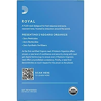 Rico Royal Soprano Saxophone Reeds, Box of 10