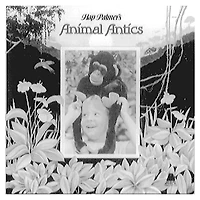 Educational Activities Animal Antics CD
