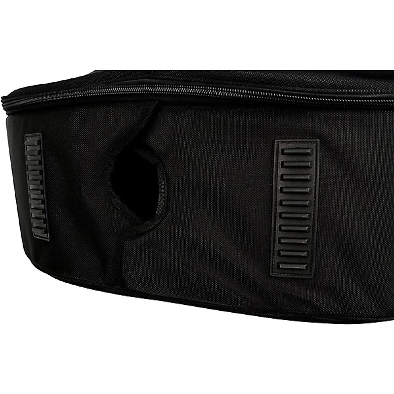 Protec Deluxe Bass Gig Bag