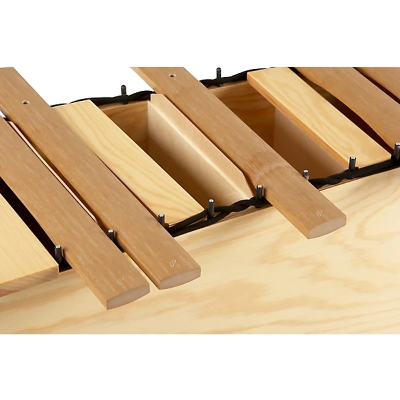 Studio 49 2000 Series Grillodur Xylophone Bass Chromatic Add-On Only Hbxg2000