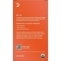 Rico Bass Clarinet Reeds, Box of 10