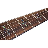 Schecter Guitar Research Hellraiser C-1 Electric Guitar Black Cherry