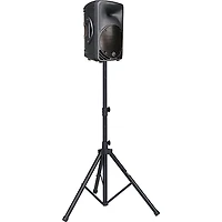 Mackie C200 Passive Speaker (Black) Black