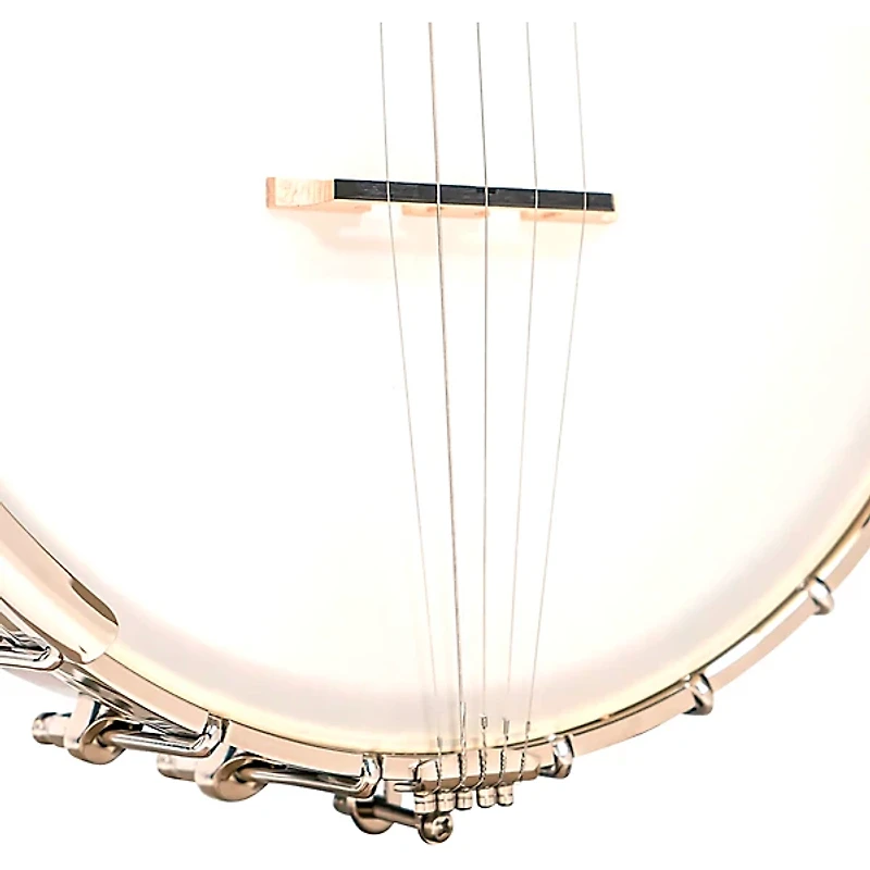 Gold Tone CB-100 Open Back Banjo Natural