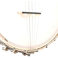 Gold Tone CB-100 Open Back Banjo Natural