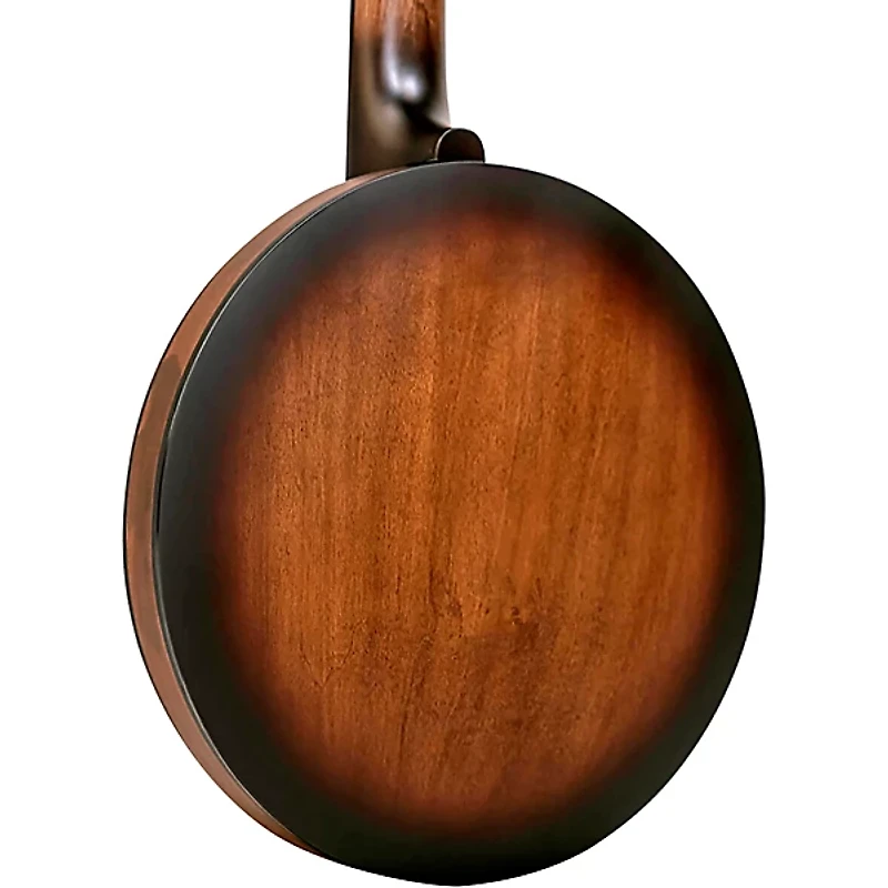 Gold Tone CC Banjitar Natural