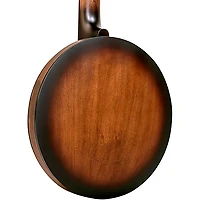 Gold Tone CC Banjitar Natural
