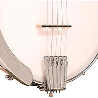 Gold Tone CC-100 (O) Open-Back Banjo Natural