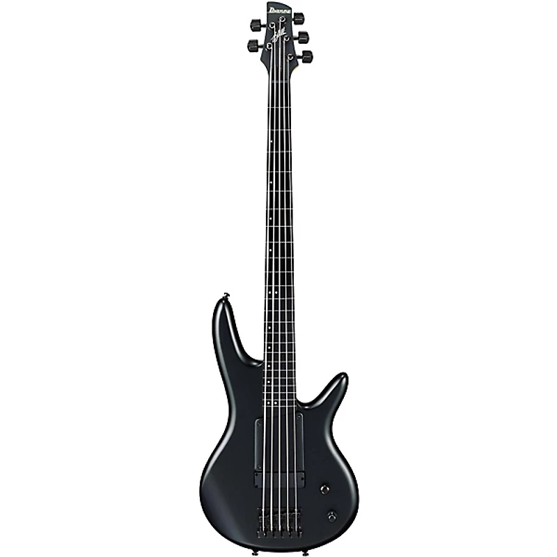 Ibanez GWB35 Gary Willis Signature Fretless 5-String Bass Flat Black