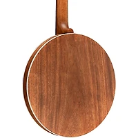 Deering Sierra 5-String Banjo