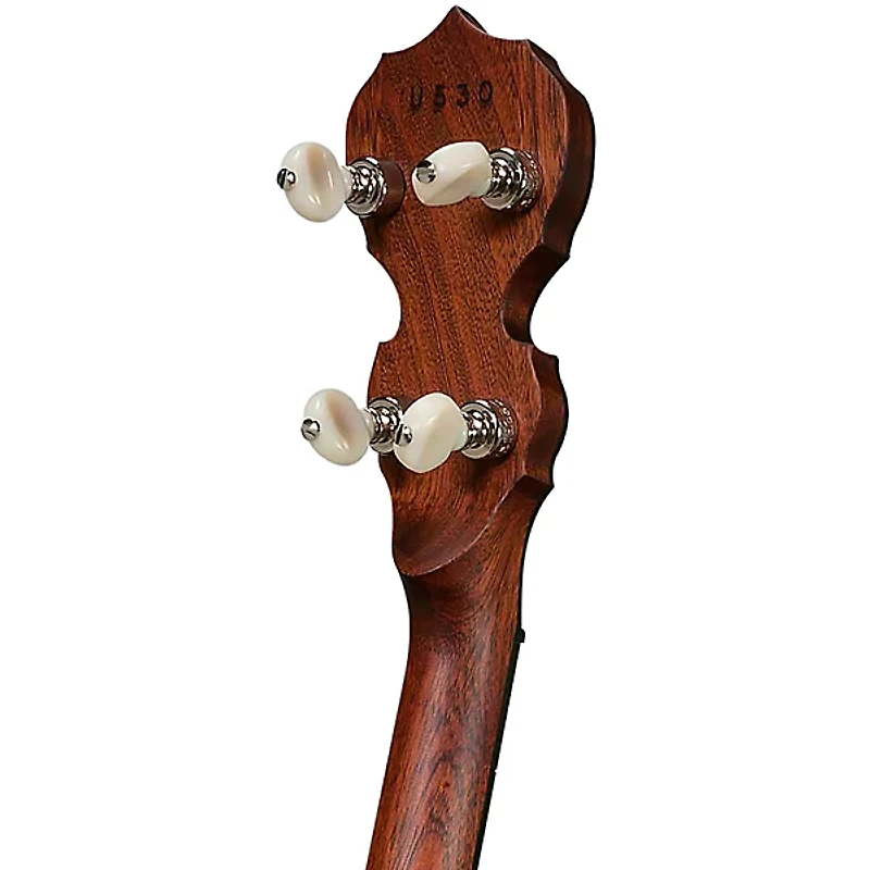 Deering Sierra 5-String Banjo