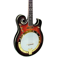 Gold Tone EBM Electric Banjo