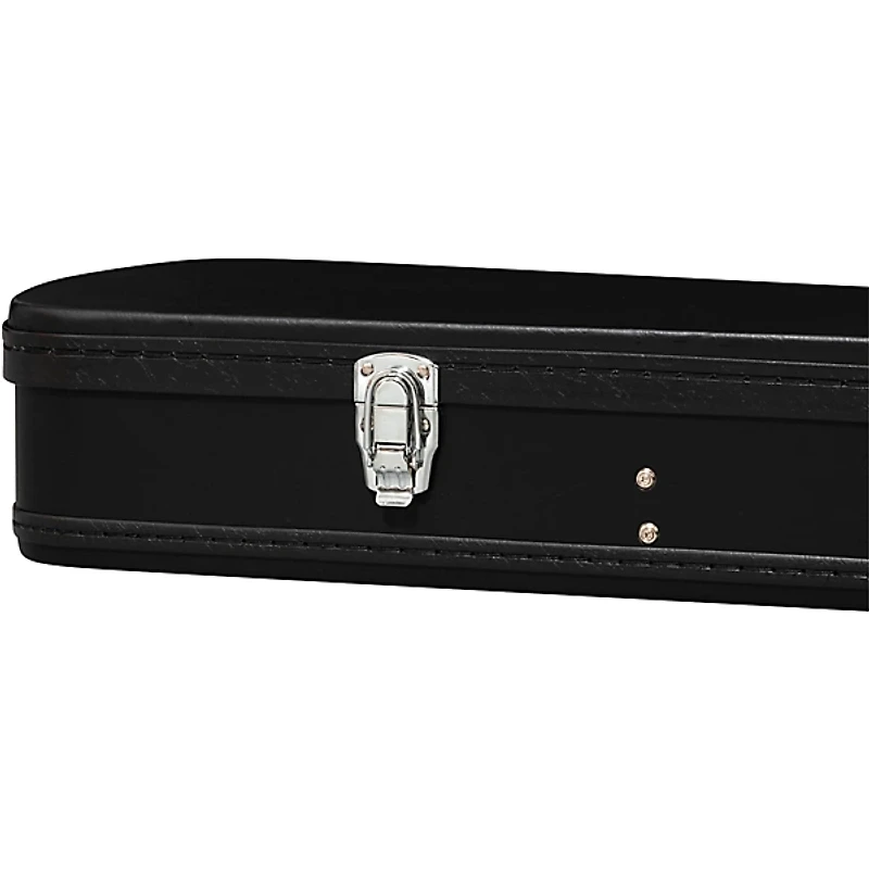 Epiphone Jack Casady Bass Guitar Case