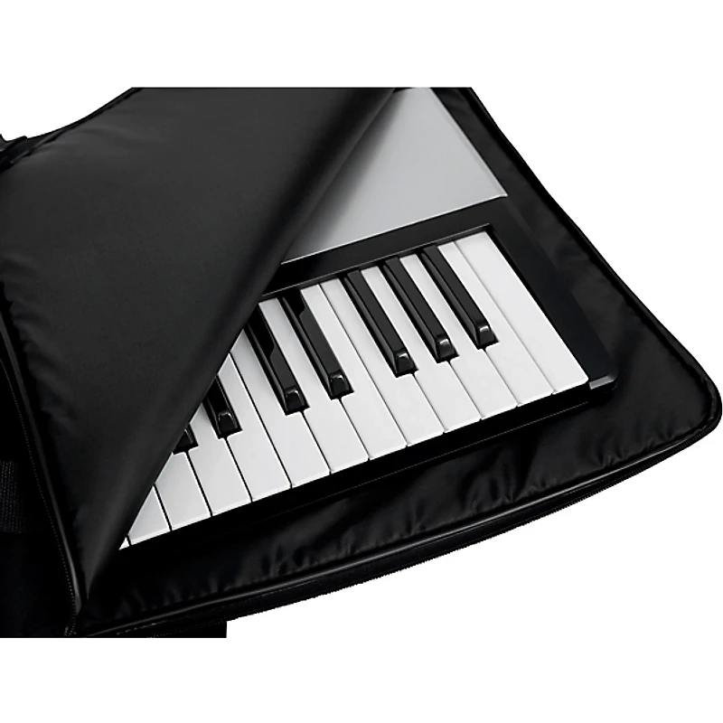 Gator GKBE-76 76-Note Economy Keyboard Gig Bag Black 51"X20"