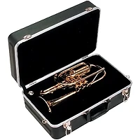 SKB SKB-325 Cornet Case