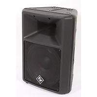 Electro-Voice SX100+ Passive Loudspeaker Black