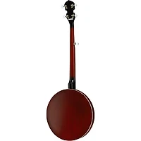Rogue B30 Deluxe 30-Bracket Banjo With Aluminum Rim
