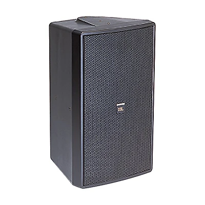 JBL C29AV-1 Control 2-Way Indoor/Outdoor Speaker