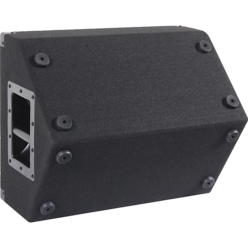 Peavey PV 12M 12" Floor Monitor