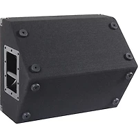 Peavey PV 12M 12" Floor Monitor