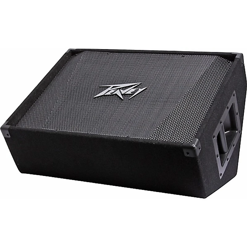 Peavey PV 15M 15" Floor Monitor