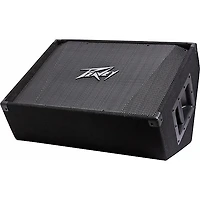 Peavey PV 15M 15" Floor Monitor