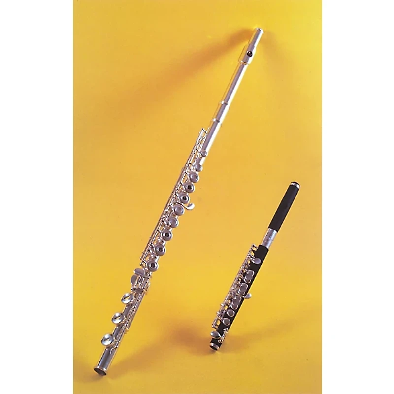 Alfred Meet the Instruments 25 Poster Set