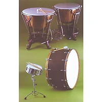 Alfred Meet the Instruments 25 Poster Set