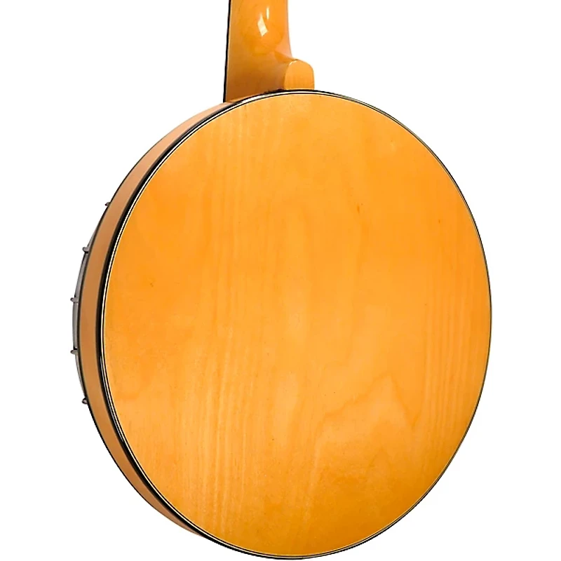 Gold Tone GT-500 Banjo