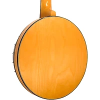 Gold Tone GT-500 Banjo