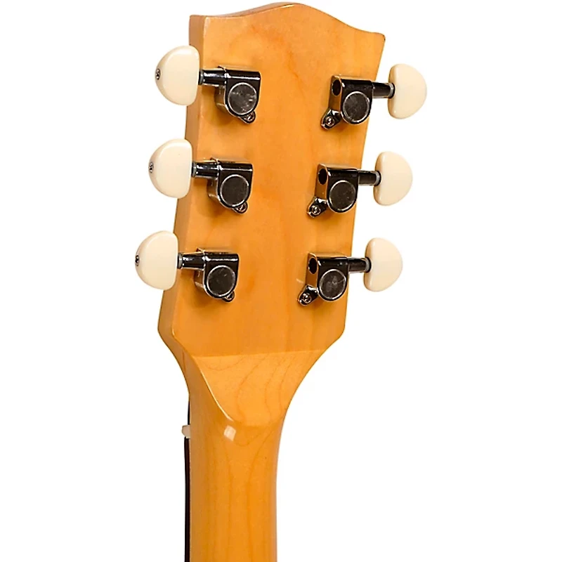 Gold Tone GT-500 Banjo