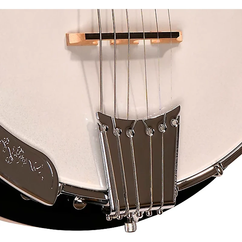 Gold Tone GT-500 Banjo
