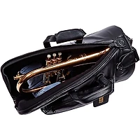 Gard Mid-Suspension Flugelhorn Gig Bag