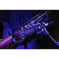 Electro-Voice RE320 Cardioid Dynamic Broadcast and Instrument  Microphone