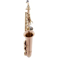 P. Mauriat Le Bravo Intermediate Alto Saxophone Matte Finish