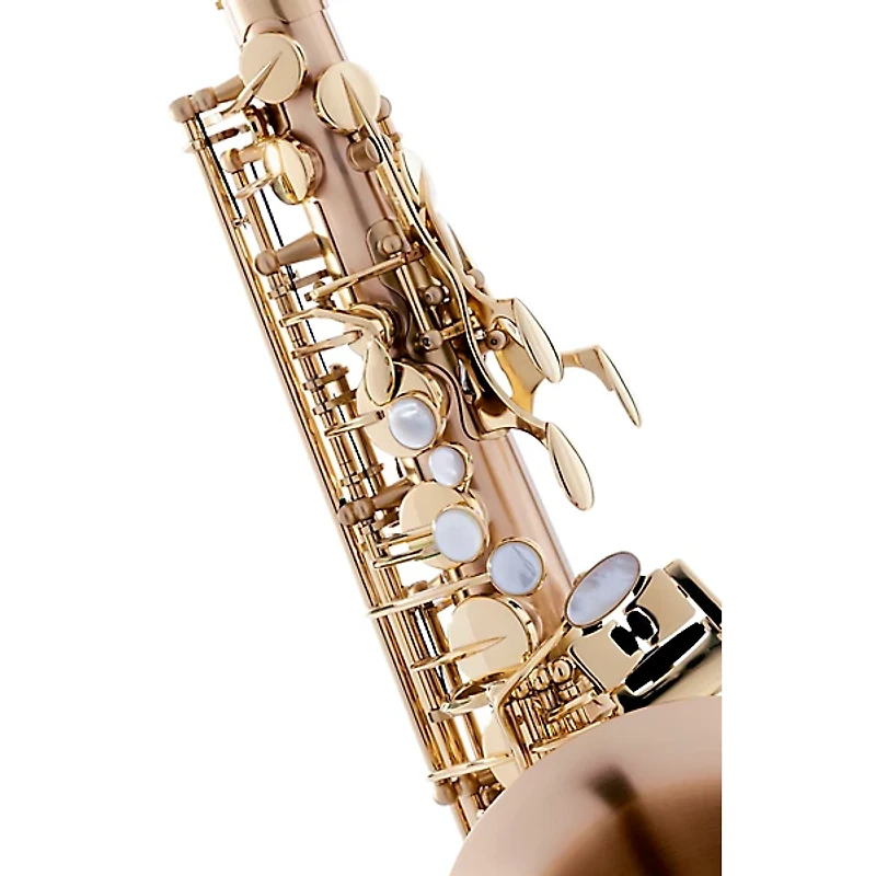 P. Mauriat Le Bravo Intermediate Alto Saxophone Matte Finish