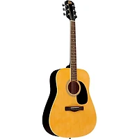 Rogue RD80PK Dreadnought Acoustic Guitar Pack