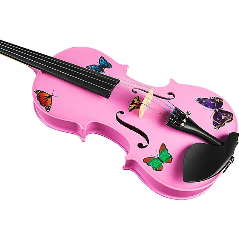 Rozanna's Violins Butterfly Dream Lavender Series Violin Outfit 4/4 Size