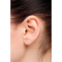 Earasers Musicians Hi-Fi Ear Plugs for Musicians -