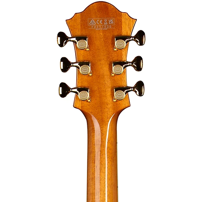 Ibanez PM200 Pat Metheny Signature Hollowbody Electric Guitar Natural