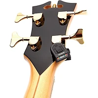 D'Addario NS Micro Headstock Tuner 2-Pack