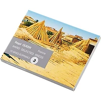 Rigotti Queen Reeds for Soprano Saxophone Strength 3.5 Box of 10