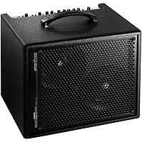 AER Amp-Three 200W Bass 2x8 Combo Amp