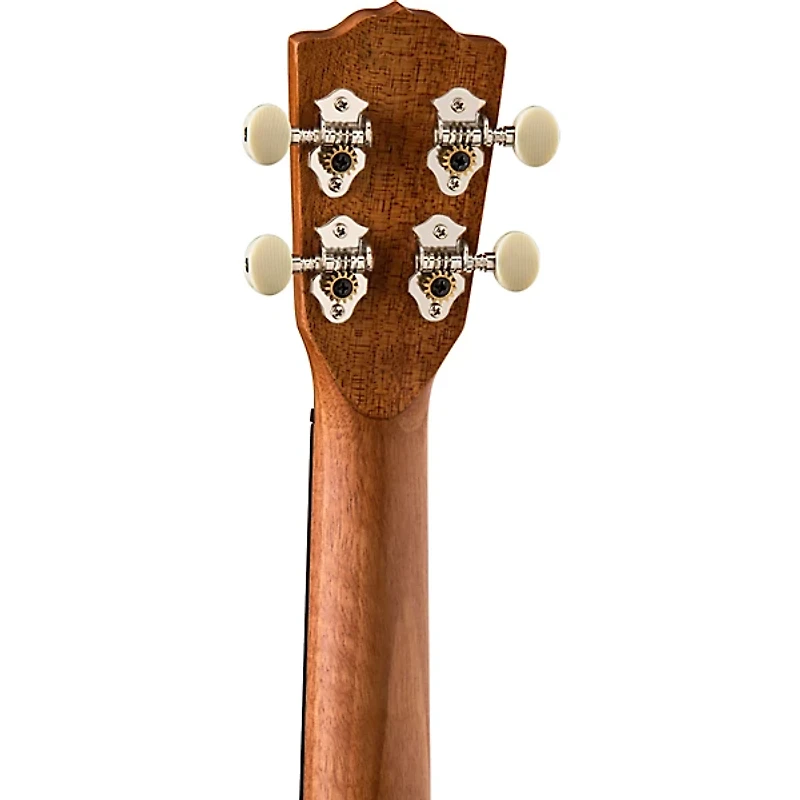 Luna Coral Solid Mahogany Concert Ukulele