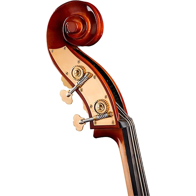 Bellafina Musicale Series Bass Outfit