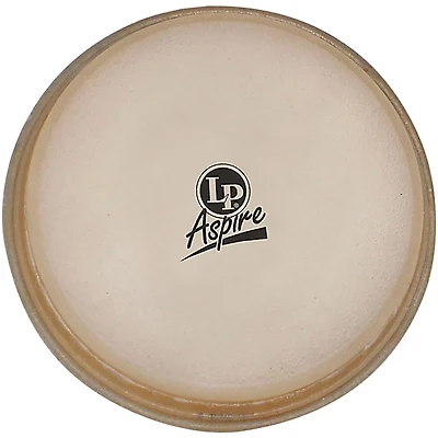 LP 11" Aspire Conga Head