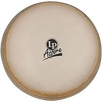 LP 11" Aspire Conga Head